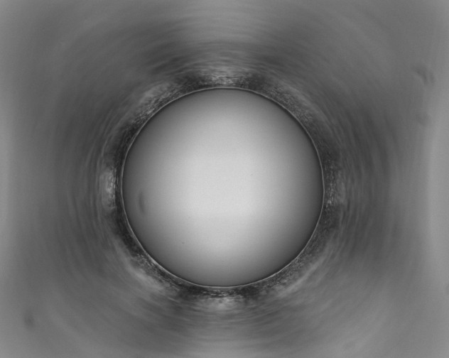 X0000111020646200906261541