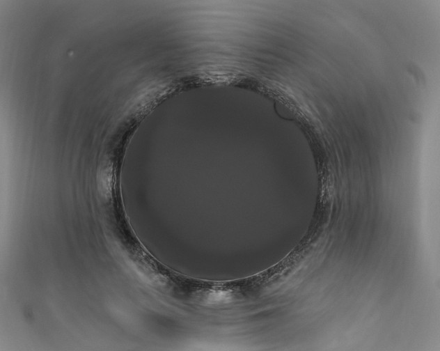 X0000111020647200906261541
