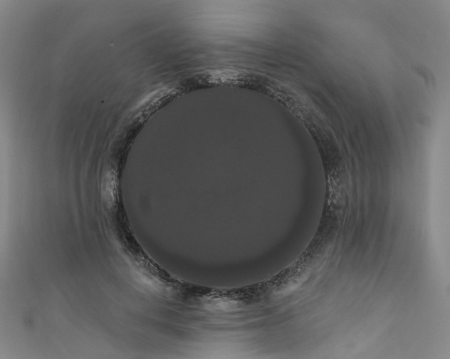 X0000111020648200906261541