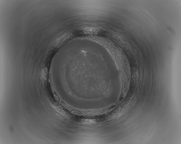 X0000111020649200906261541