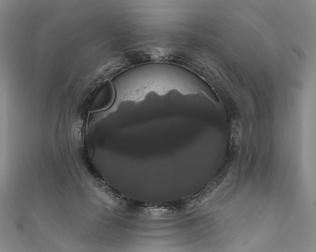 X0000111020650200906261541