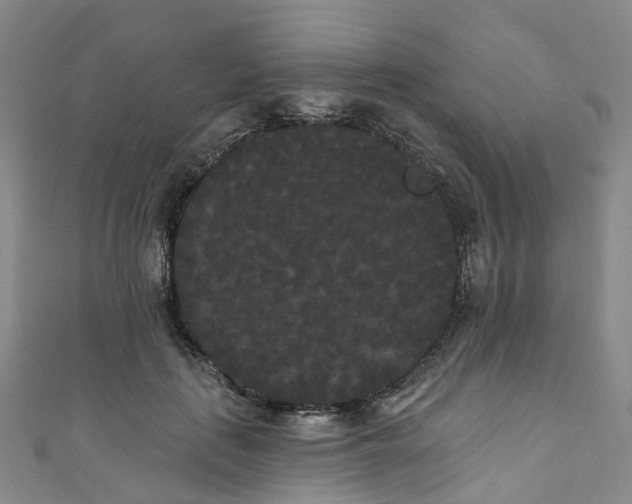 X0000111020651200906261541