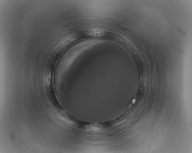 X0000111020652200906261541