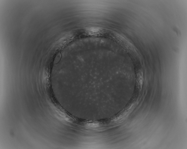 X0000111020653200906261541