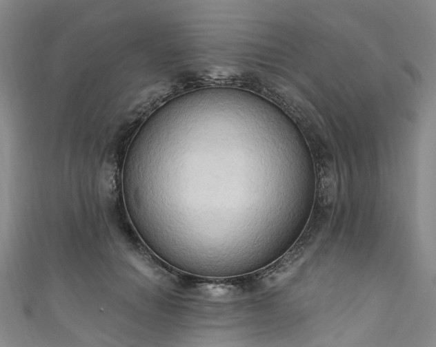 X0000111020654200906261542