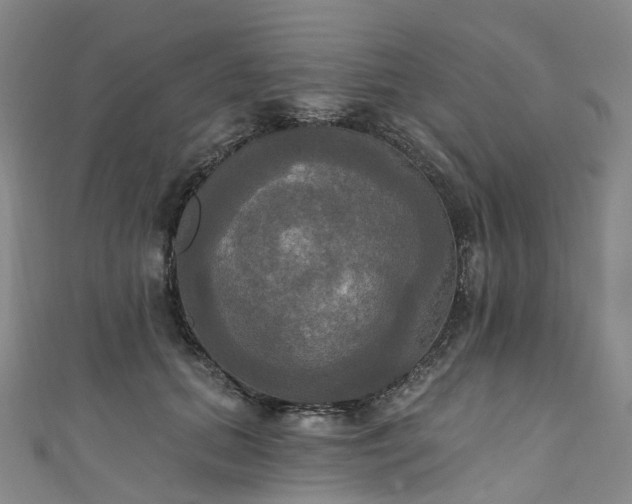 X0000111020655200906261542