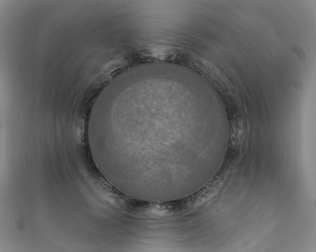 X0000111020656200906261542