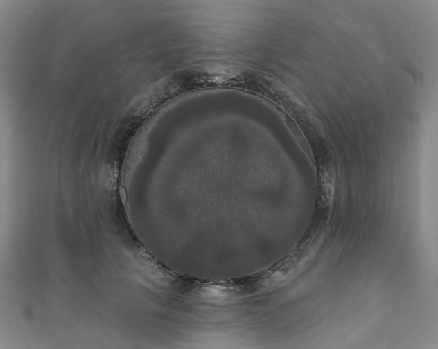 X0000111020657200906261542