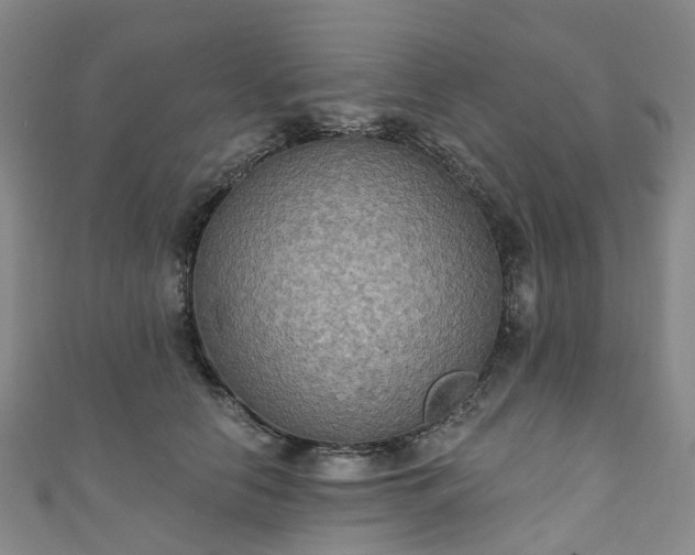 X0000111020658200906261542