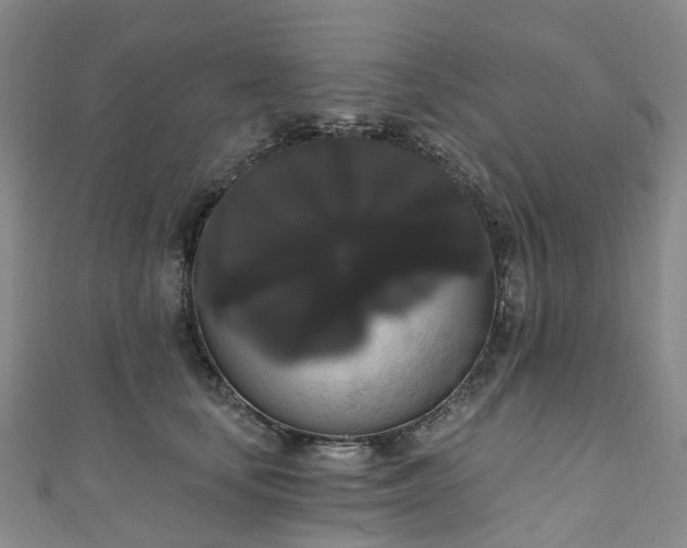 X0000111020659200906261542