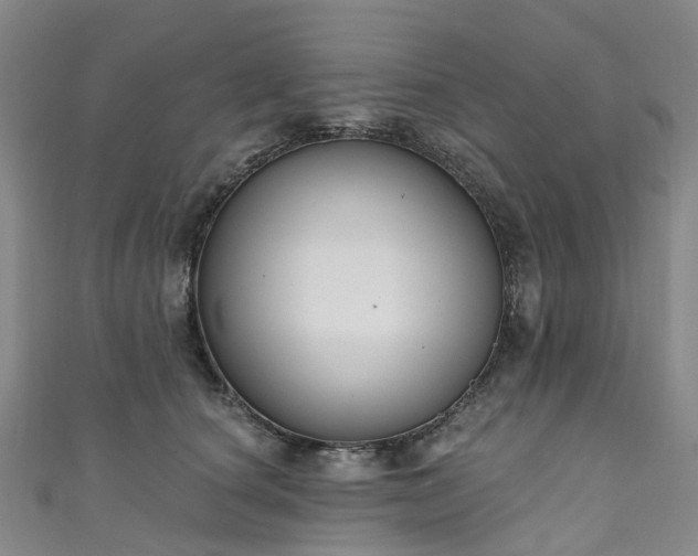 X0000111020660200906261542