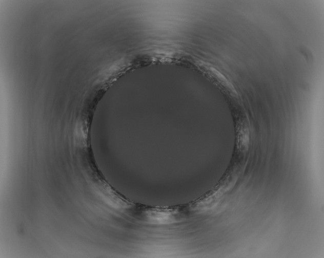 X0000111020661200906261542