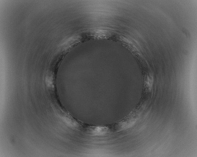X0000111020663200906261542