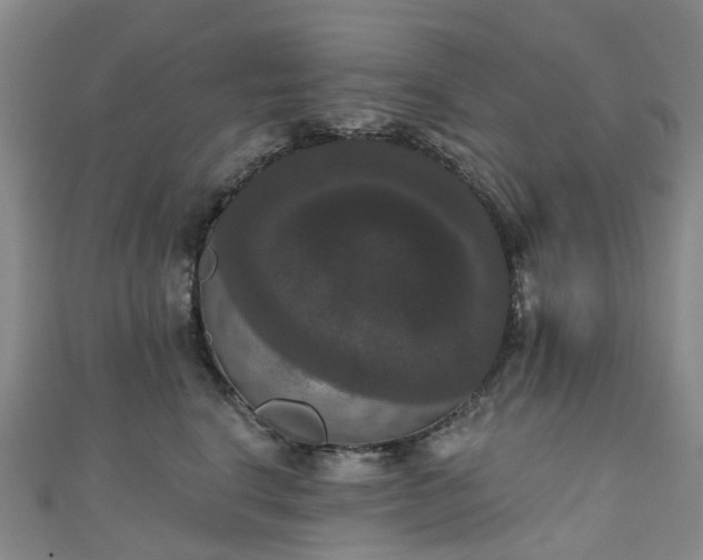 X0000111020664200906261542