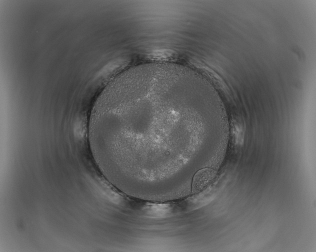 X0000111020665200906261542