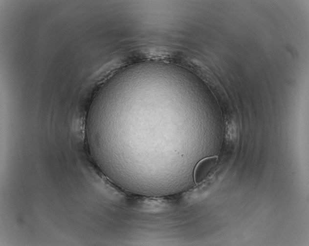 X0000111020666200906261542