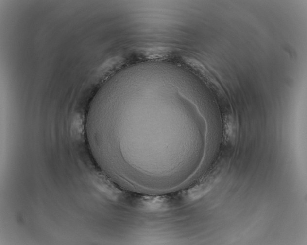 X0000111020667200906261542