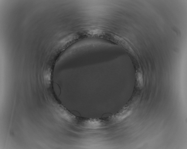 X0000111020668200906261542