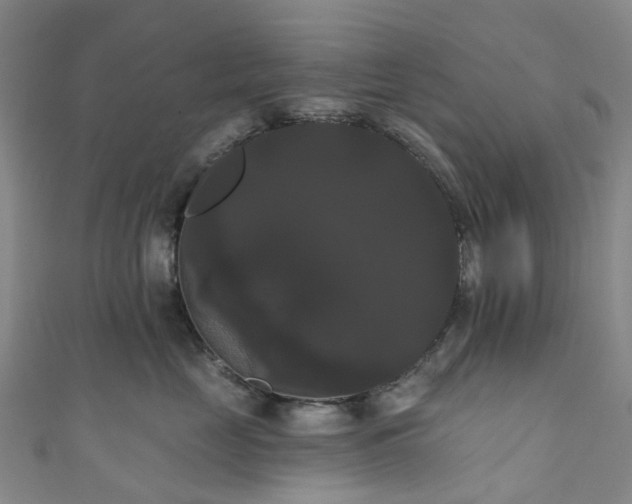 X0000111020669200906261542