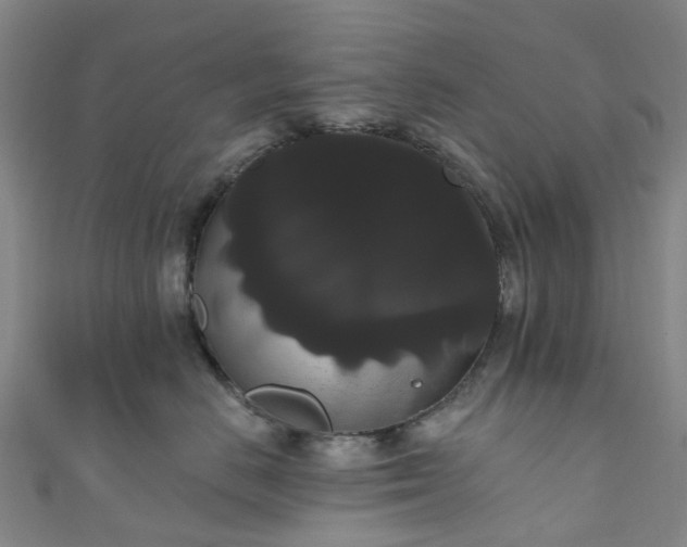 X0000111020670200906261542