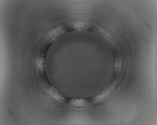 X0000111020671200906261542