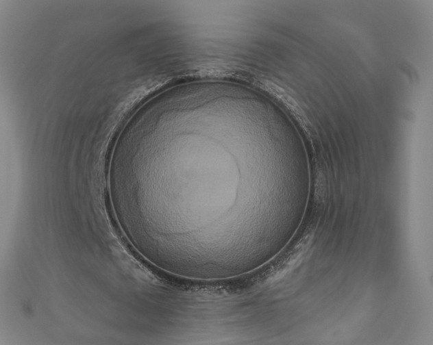 X0000111020673200906261541