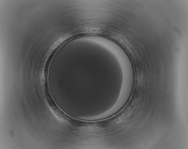X0000111020674200906261541