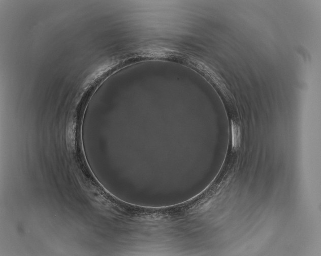 X0000111020675200906261541