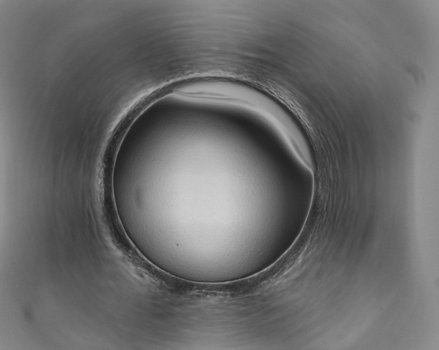 X0000111020676200906261541