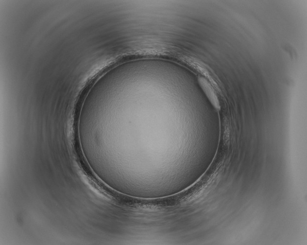 X0000111020677200906261541
