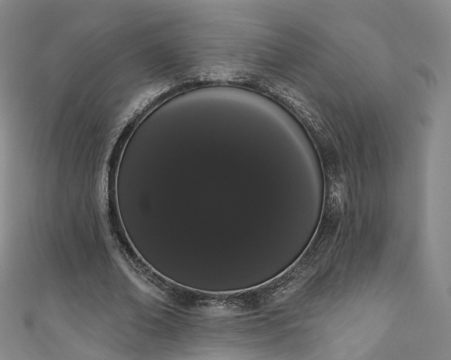 X0000111020678200906261541