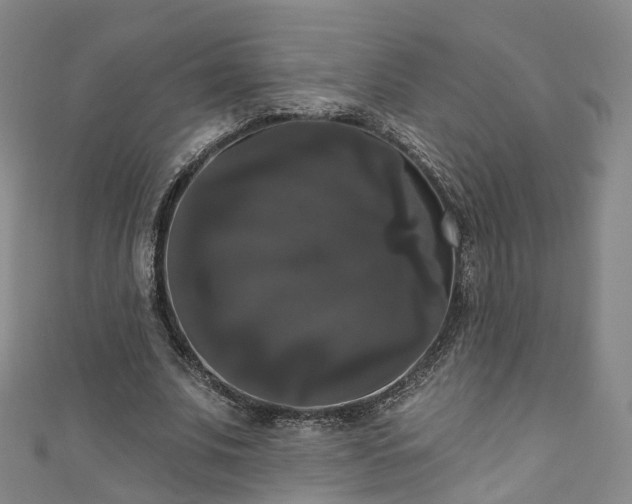 X0000111020679200906261541