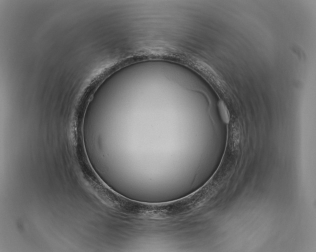 X0000111020680200906261541