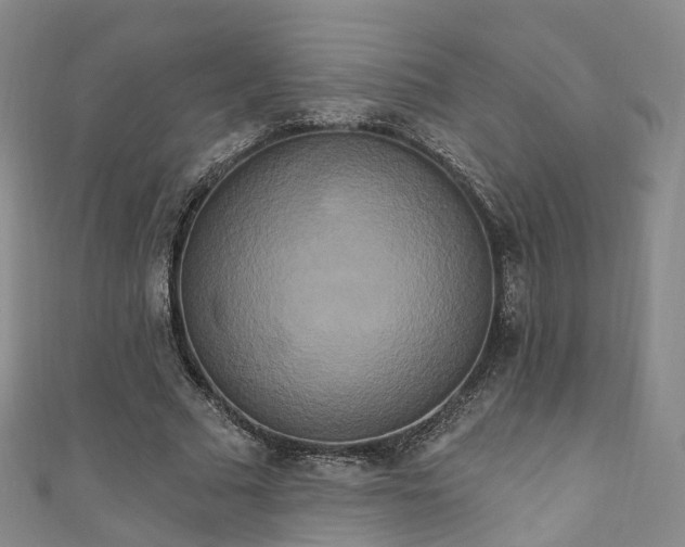 X0000111020681200906261541