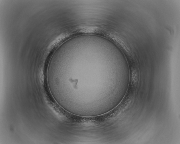 X0000111020682200906261541