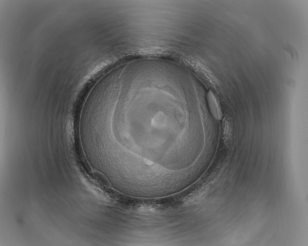 X0000111020684200906261541