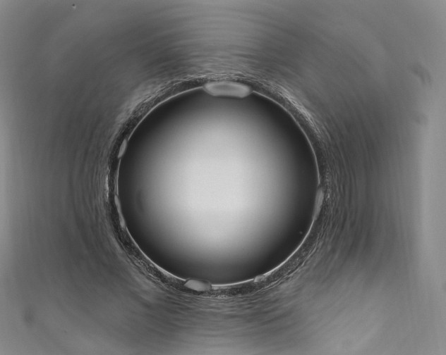 X0000111020685200906261541