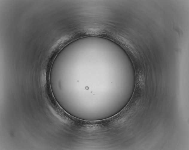 X0000111020686200906261541