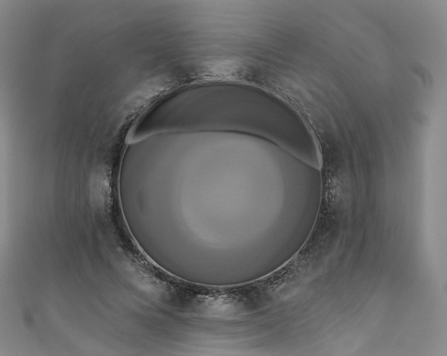X0000111020688200906261541