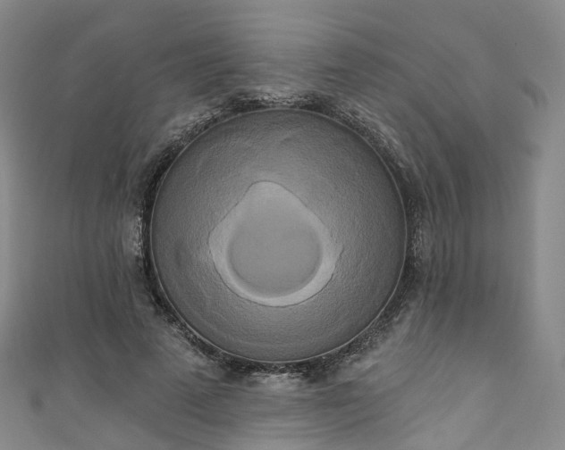 X0000111020689200906261541