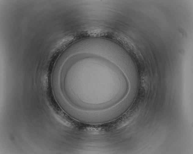 X0000111020690200906261541