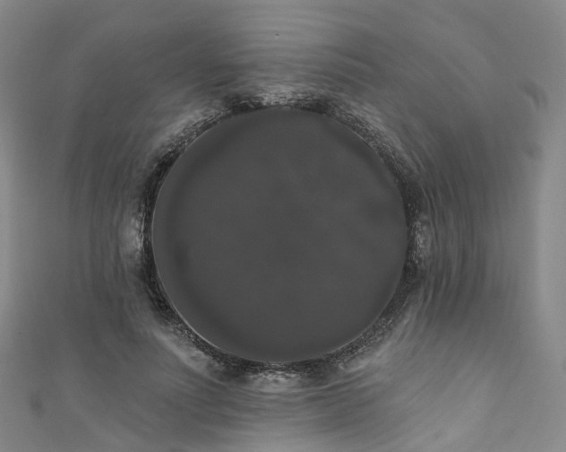 X0000111020691200906261541