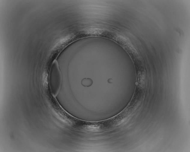 X0000111020692200906261541