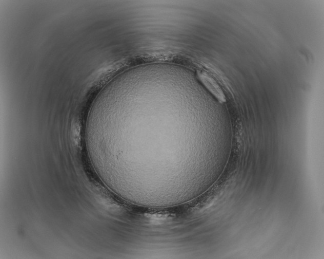 X0000111020693200906261541
