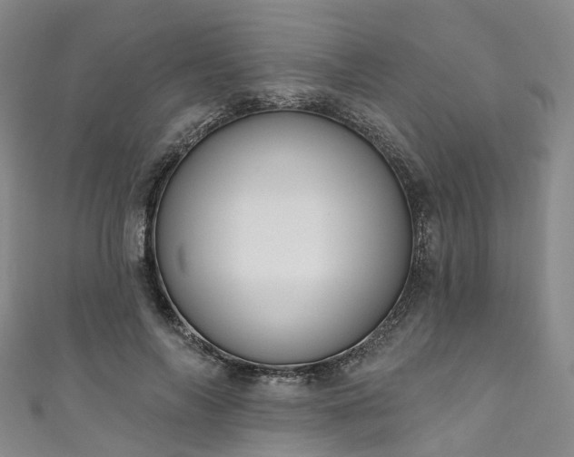 X0000111020694200906261541