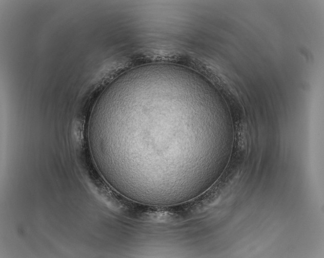 X0000111020695200906261541