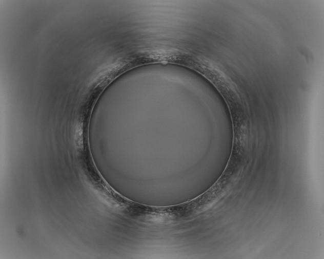 X0000111020696200906261541