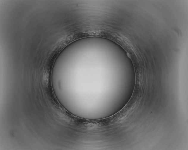 X0000111020697200906261541