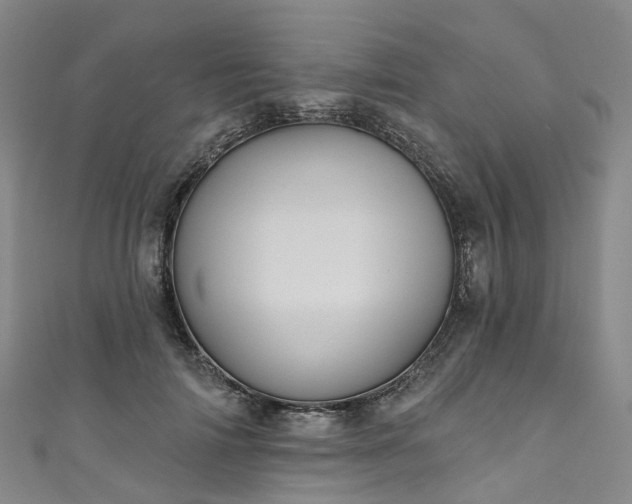 X0000111020698200906261541