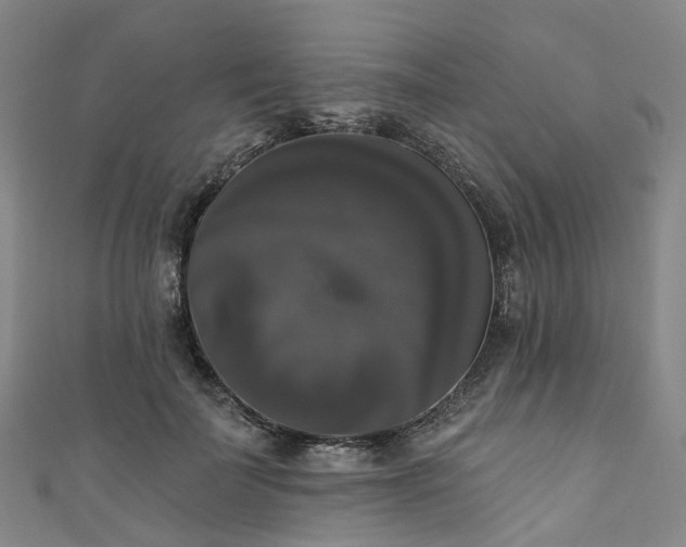 X0000111020699200906261541